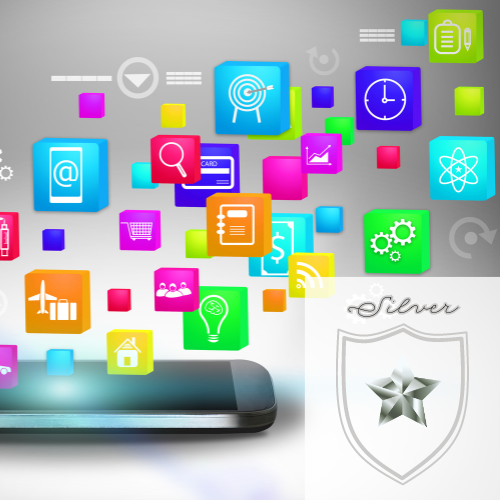 Social Media Management - Silver (Monthly)